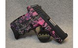 SCCY ~ CPX-2 ~ 9MM - 2 of 2