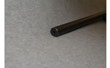 Remington Arms ~ 700 ~ .204 Ruger - 7 of 10