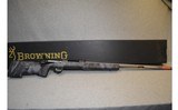 Browning ~ X-Bolt ~ .300 Winchester Magnum - 1 of 10