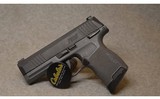 Sig Sauer ~ P365 ~ 9MM - 3 of 3