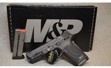 Smith & Wesson ~ M&P 9 Shield EZ ~ 9MM