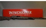 Winchester ~ SXP ~ 12 Gauge
