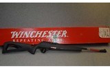 Winchester ~ Wildcat ~ .22 Long Rifle
