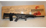 Bushmaster ~ Carbon-15 ~ 5.56 NATO