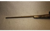 Browning ~ X-Bolt ~ .300 Winchester Magnum - 8 of 10