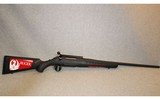 Ruger ~ American ~ .308 Winchester - 1 of 10