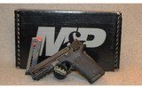 Smith & Wesson ~ M&P 380 Shield EZ ~ .380 Auto