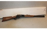 Winchester ~ 1873 ~ .45 Colt - 1 of 10