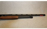 Winchester ~ SXP ~ 20 Gauge - 6 of 10