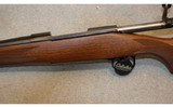 Winchester ~ 70 ~ 7mm Remington Magnum - 9 of 10