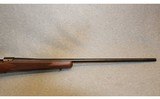 Winchester ~ 70 ~ 7mm Remington Magnum - 6 of 10