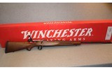 Winchester ~ 70 ~ 7mm Remington Magnum