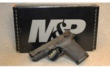 Smith & Wesson ~ M&P 9 Shield EZ M2.0 ~ 9MM