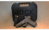 Glock ~ 48 ~ 9MM