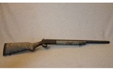 Harrington & Richardson ~ Pardner SB2 ~ 10 Gauge