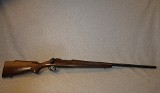Winchester ~ 70 ~ .243 Winchester - 1 of 10
