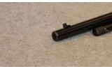 Winchester ~ 61 ~ .22 Magnum - 6 of 9