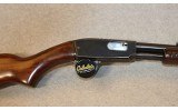Winchester ~ 61 ~ .22 Magnum - 3 of 9