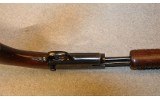 Winchester ~ 61 ~ .22 Magnum - 4 of 9
