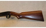 Winchester ~ 61 ~ .22 S, L, Long Rifle - 9 of 9
