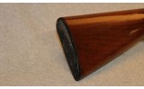 Winchester ~ 12 ~ 20 Gauge