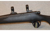 Remington ~ 700 ~ .243 Winchester - 9 of 10