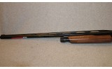 Winchester ~ SXP ~ 12 Gauge - 8 of 10