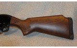 Winchester ~ SXP ~ 12 Gauge - 10 of 10