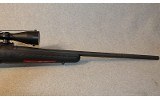 Ruger ~ American ~ .243 Winchester - 6 of 10