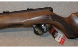 Savage ~ B22 Magnum ~ .22 WMR - 9 of 10