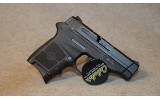 Smith & Wesson ~ M&P Bodyguard 380 ~ .380 Auto - 4 of 4