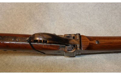 Armi Sport ~ NONE ~ .45-70 Government - Image 5 of 10