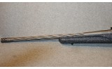 Ruger ~ American ~ .243 Winchester - 8 of 10