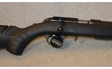 Ruger ~ American ~ .22 Long Rifle - 4 of 10