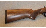 Pointer ~ Acrius ~ 12 Gauge - 3 of 10