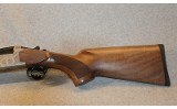 Pointer ~ Acrius ~ 12 Gauge - 10 of 10