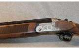 Pointer ~ Acrius ~ 12 Gauge - 9 of 10