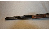 Pointer ~ Acrius ~ 12 Gauge - 8 of 10