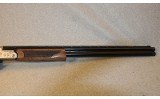 Pointer ~ Acrius ~ 12 Gauge - 6 of 10