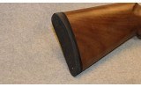 Pointer ~ Acrius ~ 12 Gauge - 2 of 10
