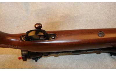 Remington ~ 700 ~ 7MM Remington Magnum - Image 5 of 10