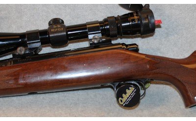 Remington ~ 700 ~ 7MM Remington Magnum - Image 9 of 10