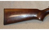 Remington ~ 510 ~ .22 Short, Long, Long Rifle - 3 of 10