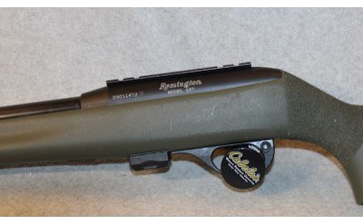 Remington ~ 597 ~ .22 Long Rifle - Image 9 of 10