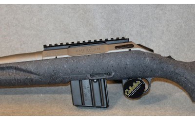 Ruger ~ American ~ .350 Legend - Image 9 of 10