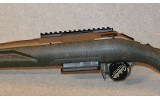 Ruger ~ American ~ .243 Winchester - 9 of 10