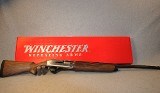 Winchester ~ SX4 ~ 12 Gauge