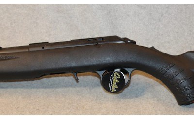 Ruger ~ American ~ .22 Long Rifle - Image 9 of 10