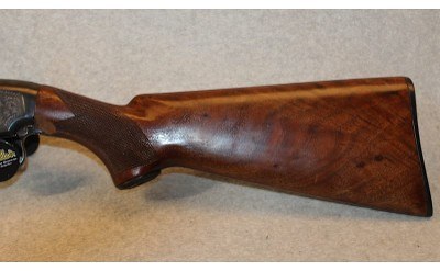 Winchester ~ 12 ~ 20 Gauge - Image 10 of 10