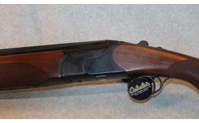 CZ ~ Teal ~ 12 Gauge - Image 9 of 10